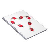 Carnet cardiaque de Ladybug (Côté Droit)