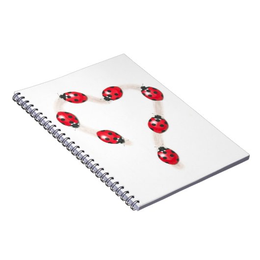 Carnet cardiaque de Ladybug (Côté Droit)