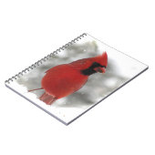Carnet Cardinal (Côté gauche)