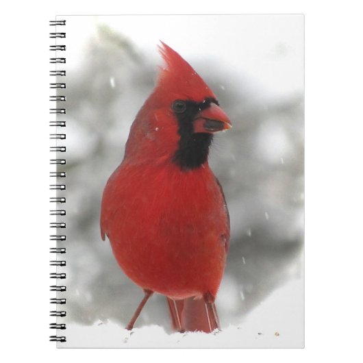 Carnet Cardinal (Devant)
