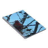 Carnet Cardinal (Côté Droit)