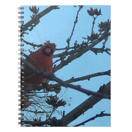 Carnet Cardinal (Devant)
