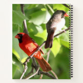 Carnet Cardinal (Dos)