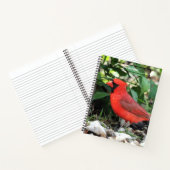 Carnet Cardinal (Intérieur)