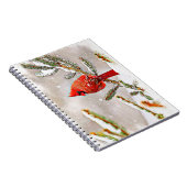 Carnet Cardinal dans un pin en hiver (Côté Droit)