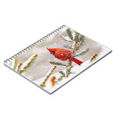 Carnet Cardinal dans un pin en hiver (Côté gauche)