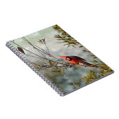 Carnet Cardinal de Wax Myrtle (Côté Droit)