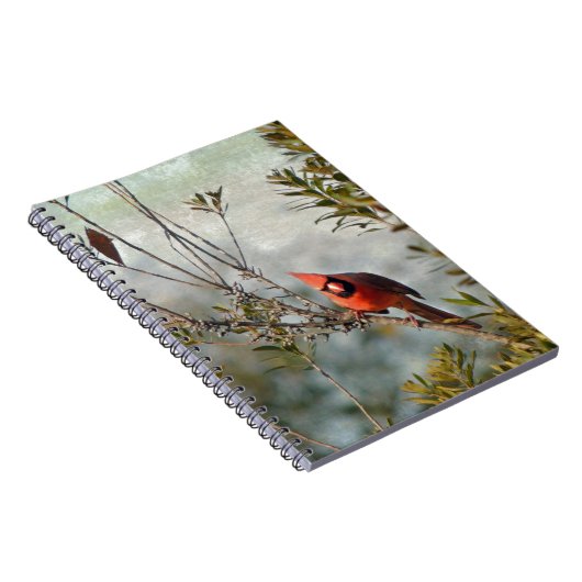 Carnet Cardinal de Wax Myrtle (Côté Droit)