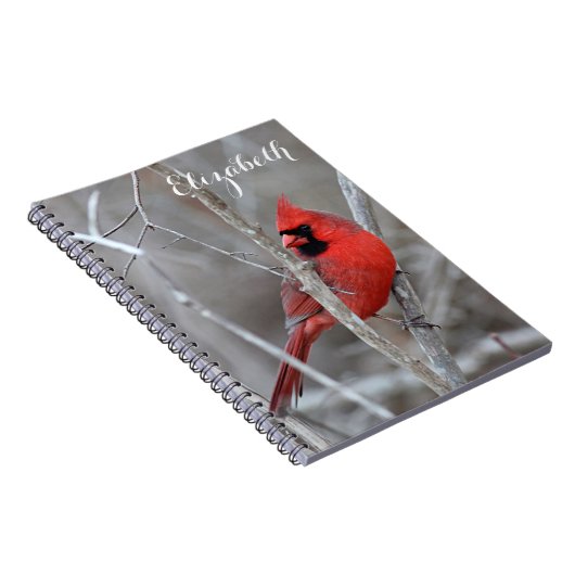 Carnet Cardinal du nord (Côté Droit)