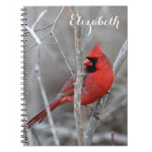 Carnet Cardinal du nord (Devant)