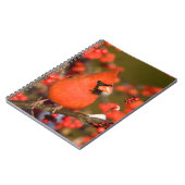 Carnet Cardinal du Nord dans l'Winterberry Commune (Côté gauche)