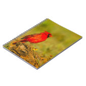 Carnet Cardinal mâle sur une bûche (Côté gauche)