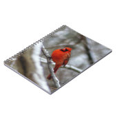 Carnet Cardinal masculin (Côté gauche)