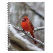 Carnet Cardinal masculin (Devant)