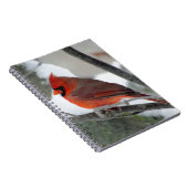 Carnet Cardinal masculin pendant l'hiver (Côté Droit)