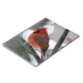 Carnet Cardinal masculin pendant l'hiver (Côté gauche)