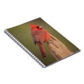Carnet Cardinal rouge (Côté Droit)