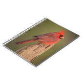 Carnet Cardinal rouge (Côté gauche)