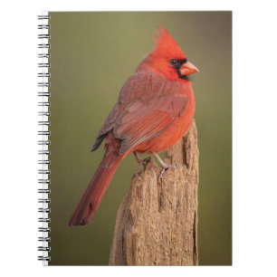 Carnet Cardinal rouge