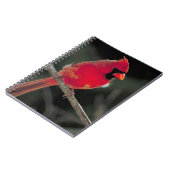 Carnet Cardinal rouge perché sur une branche d'arbre (Côté gauche)