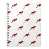 Carnet Cardinal(s) (Devant)