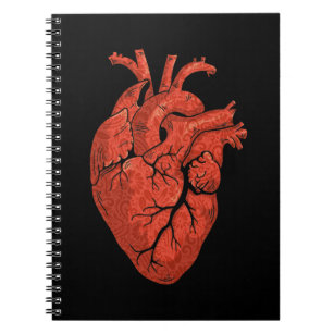 Carnet Cardiologie cardiaque anatomique Art