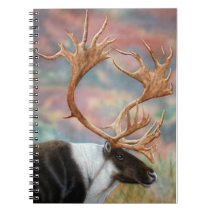 Carnet Caribou