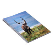 Carnet Caribou ou renne | Parc national de Denali, Alaska (Côté Droit)