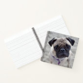 Carnet Carlin (Intérieur)