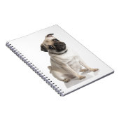 Carnet Carlin (Côté Droit)