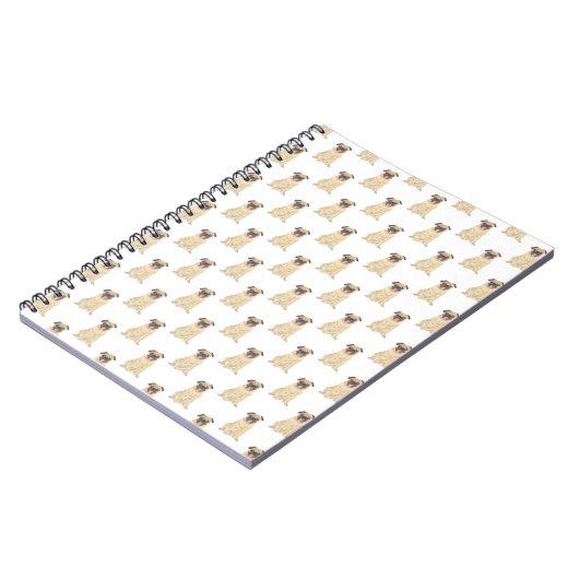 Carnet Carlin (Côté gauche)