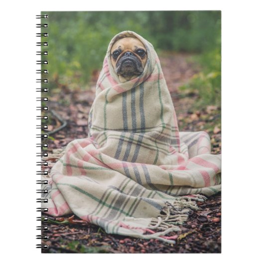 Carnet Carlin (Devant)