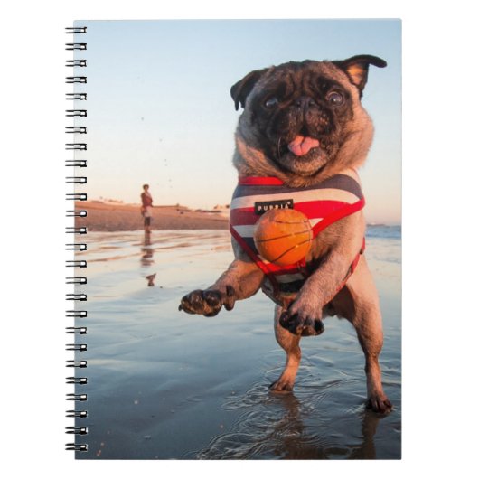 Carnet Carlin à la plage (Devant)