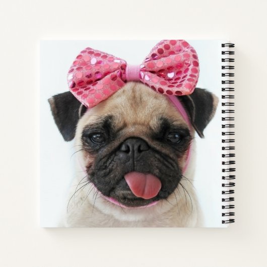 Carnet Carlin avec Bow rose (Dos)