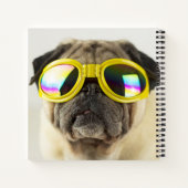 Carnet Carlin avec lunettes (Dos)