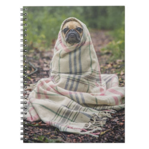 Carnet Carlin dans un ordinateur portable Spiral Couvertu