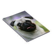 Carnet Carlin de faon sur l'alerte (Côté Droit)