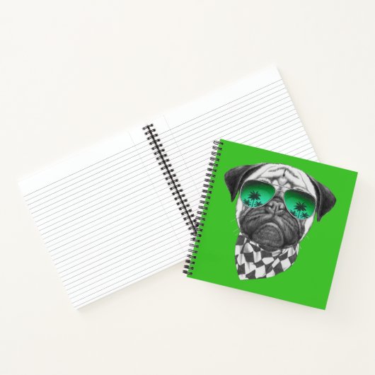 Carnet Carlin de Miami (Intérieur)