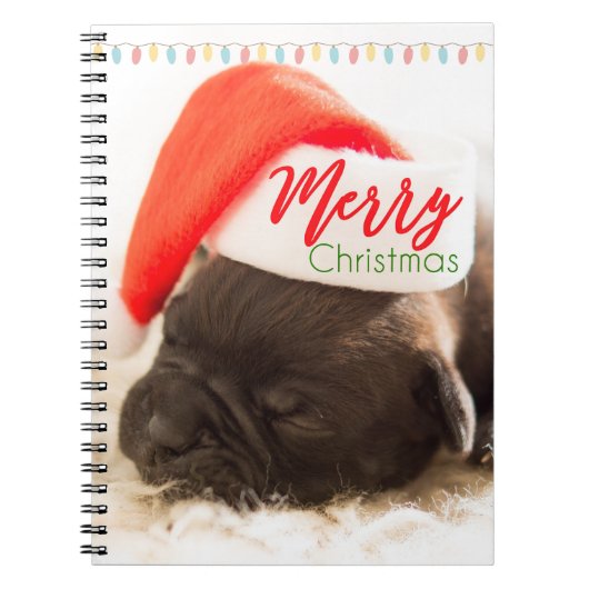 Carnet Carlin de Noël à Santa Hat avec lumières de Noël (Devant)