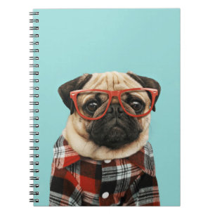 Carnet Carlin des chemises prêtées