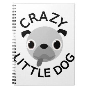 Carnet Carlin fou petit chien