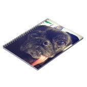 Carnet Carlin noir (Côté gauche)
