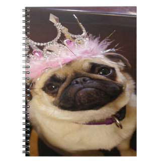 Carnet Carlin Princesse
