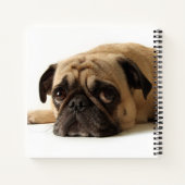 Carnet Carlin triste (Dos)
