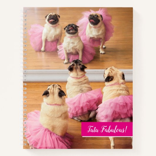 Carnet Carlins Ballerina En Tutus (Devant)