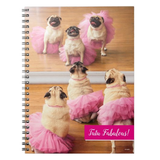 Carnet Carlins Ballerina En Tutus (Devant)