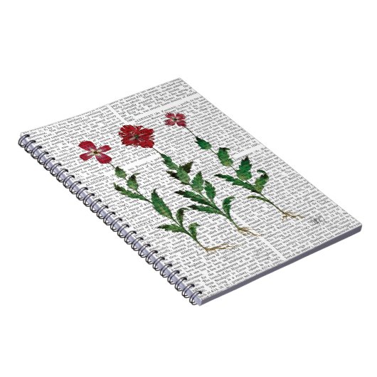 Carnet Carnation italienne 1 (Côté Droit)