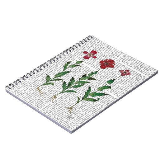 Carnet Carnation italienne 1 (Côté gauche)