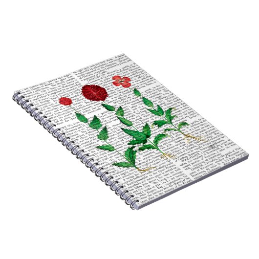 Carnet Carnation italienne 2 (Côté Droit)