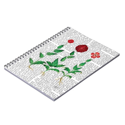 Carnet Carnation italienne 2 (Côté gauche)